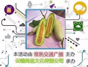 羊角蜜瓜结瓜多少天可以吃,结瓜后多久即可品尝