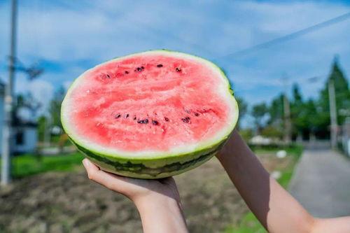 吃瓜卡了,揭秘网络热议背后的真相与反思