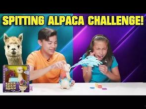 网红玩具如何玩视频,跟随视频轻松上手