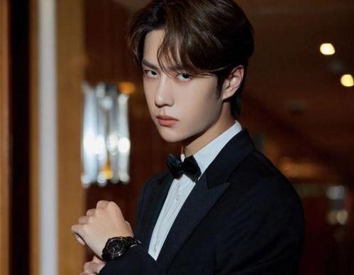 女明星粉丝王一博,女明星的魅力与风采