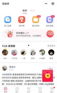 头条宠物手机壁纸图片,头条宠物手机壁纸，带你领略可爱瞬间