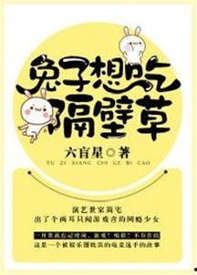 吃瓜到隔壁小说免费,一场意外的免费小说之旅