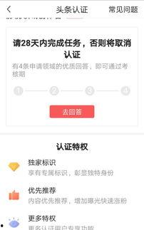 认证头条视频要钱吗,揭秘付费观看背后的真相