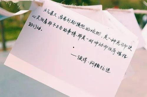 明星语录励志作文800