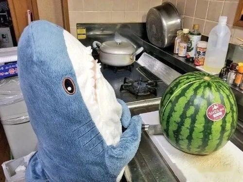 吃瓜家族,揭秘娱乐圈背后的甜蜜与苦涩