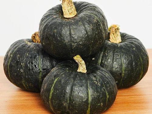 贝贝瓜怎么做吃,探索美味新境界