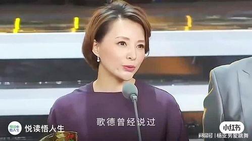 情感语录的明星有谁,揭秘明星内心独白