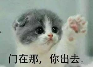 千万别买这些网红宠物,千万别买这些！