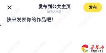 头条新功能介绍怎么写,一键掌握内容创作与互动新体验