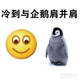 企鹅家族吃瓜表情包,表情包萌态十足